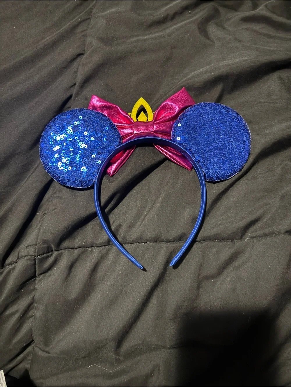 Anna Mickey Ears